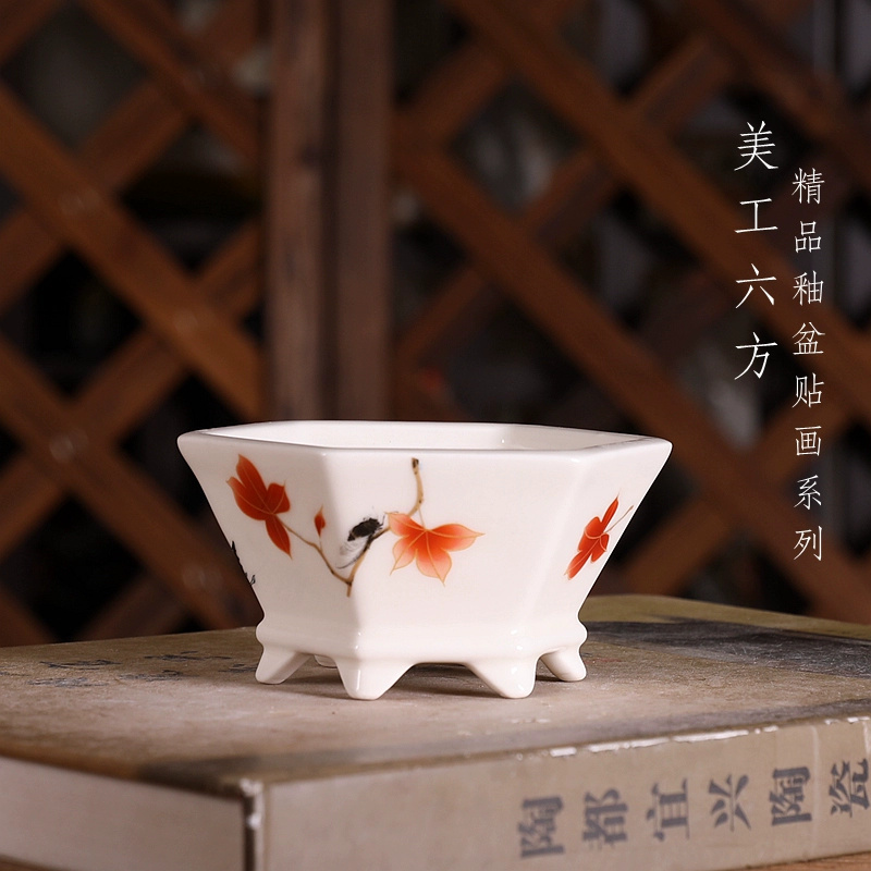 Bonsai Garden Chinese Garden - Pot à bonsaï hexagonal en porcelaine,