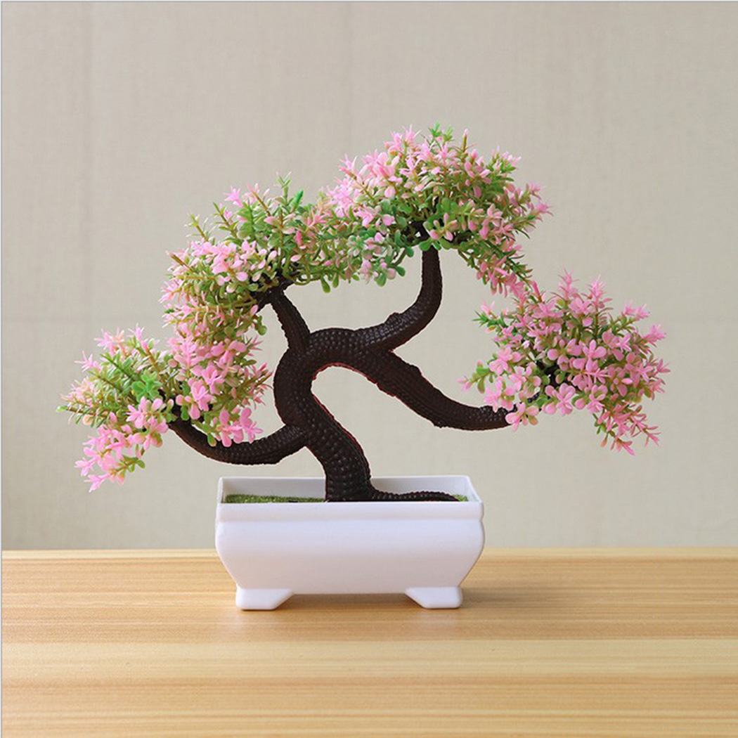 Bonsai Garden Backyard - Plante bonsaï décorative d'intérieur en pot