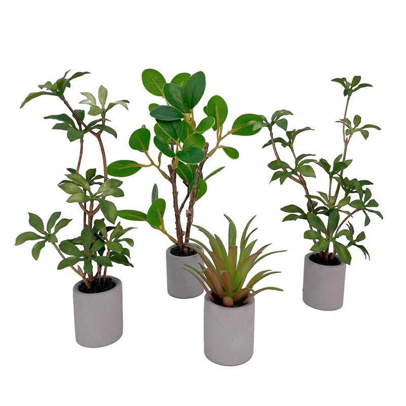Bonsai Garden Ornaments - Plante l'inventaire en pot pour maison
