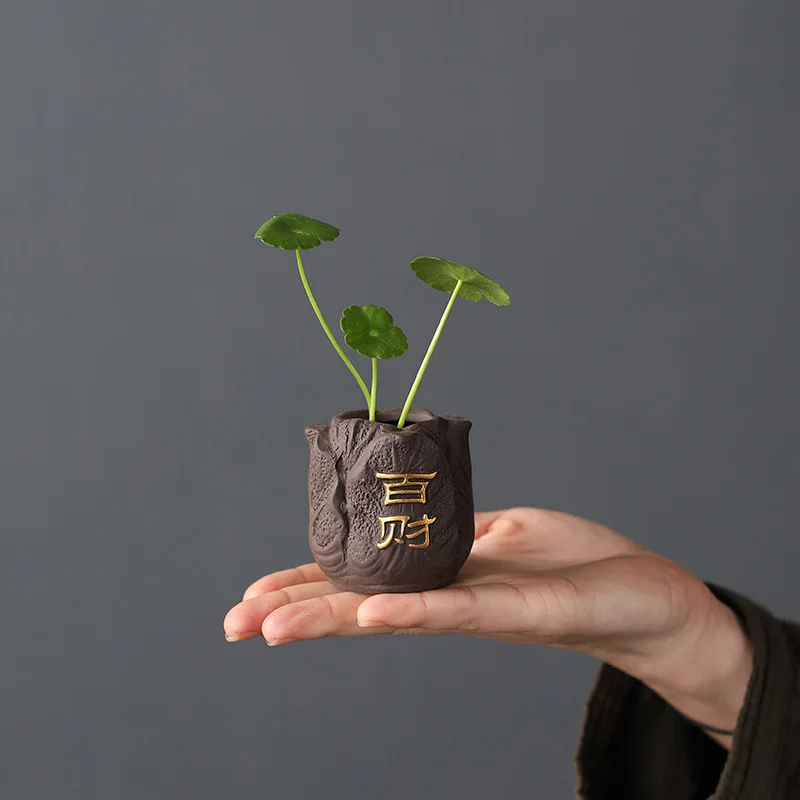 Mini Pot de fleurs en argile v - Bonsai Garden Ornaments avis et prix