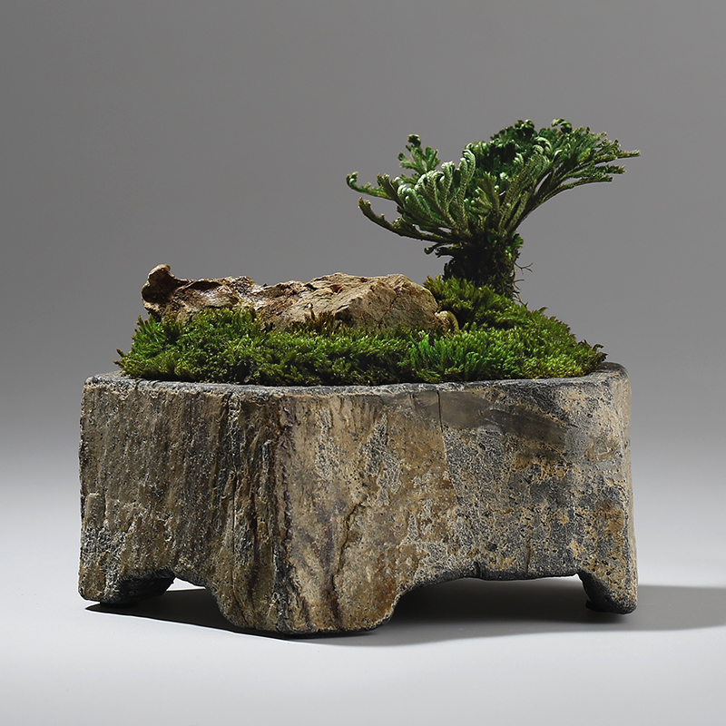 Pot de fleurs en pierre nature - Bonsai Garden Chinese Garden avis et prix