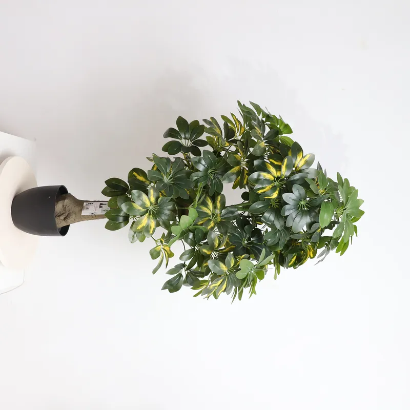 Arbre Bonsaï Artificiel Scheff - Bonsai Garden Price avis et prix