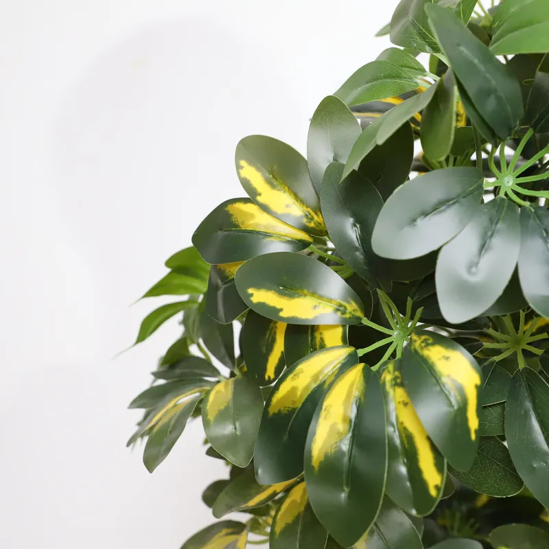 Arbre Bonsaï Artificiel Scheff - Bonsai Garden Price avis et prix
