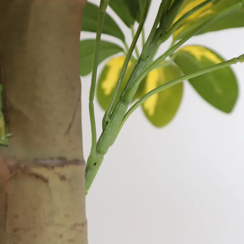 Arbre Bonsaï Artificiel Scheff - Bonsai Garden Price avis et prix