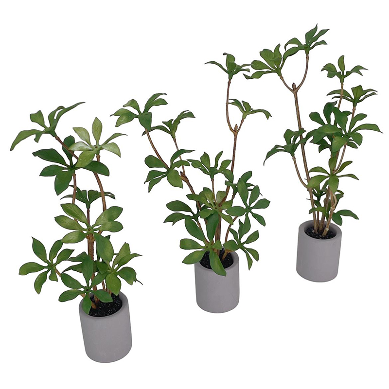 Plante l'inventaire en pot pou - Bonsai Garden Ornaments avis et prix
