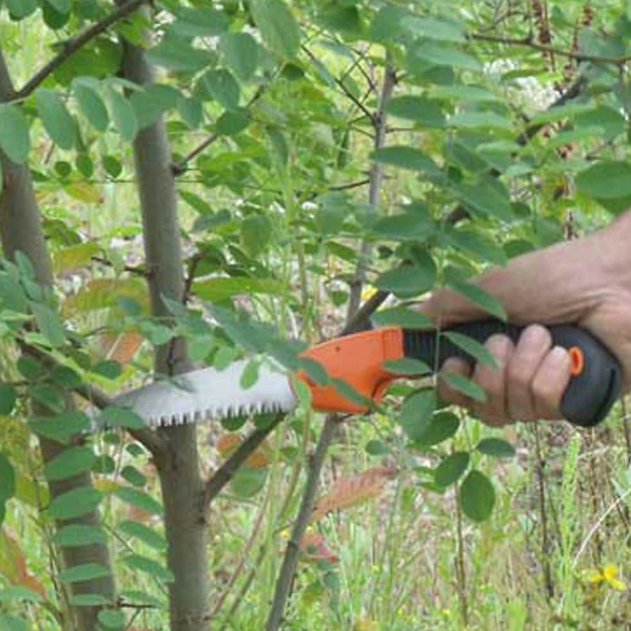 Outil de jardin, fournitures a - Bonsai Saw Folding avis et prix